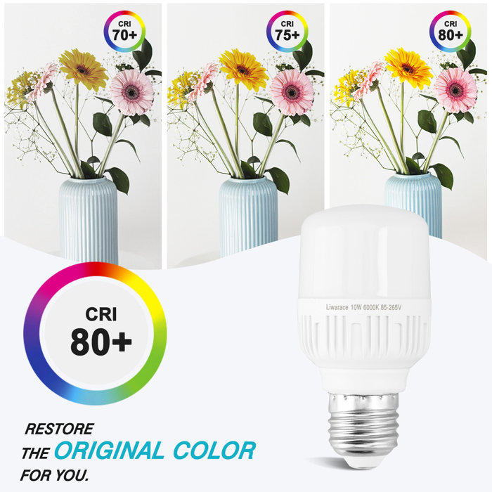 Liwarace 40 Watt E27/Medium (European) 6500K Bulb Wayfair